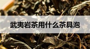 武夷岩茶用什么茶具泡?