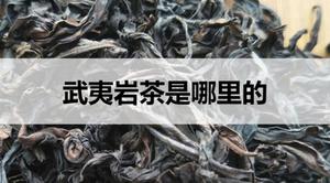 武夷岩茶是哪里的？