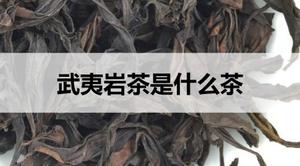 武夷岩茶是什么茶？