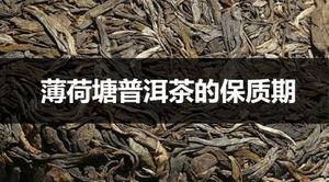 薄荷塘普洱茶保质期是多久？