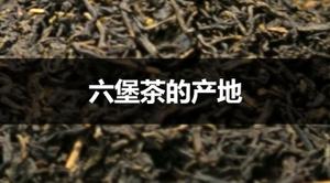 六堡茶的产地在哪里？