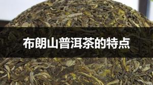 布朗山普洱茶的特点有哪些？