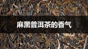 麻黑普洱茶的香味什么样？