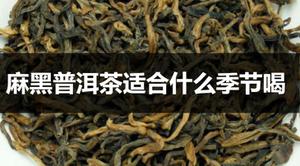麻黑普洱茶适合什么季节喝？