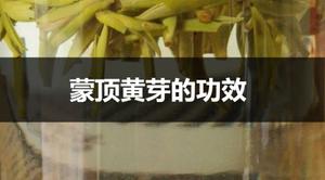 蒙顶黄芽的功效有哪些？
