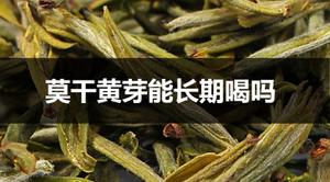 可以长期喝莫干黄芽茶吗？