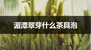 湄潭翠芽适合什么茶具泡？