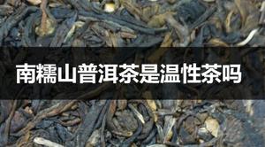 南糯山普洱茶是温茶还是寒茶？