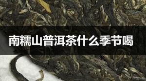 南糯山普洱茶适合什么季节喝?