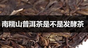 南糯山普洱茶是不是发酵茶?