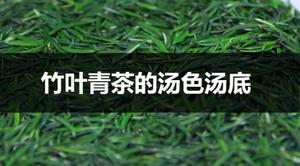 竹叶青茶的汤色汤底什么样？