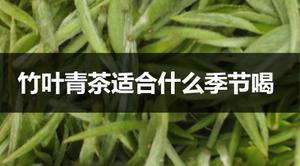 竹叶青茶适合什么季节饮用？