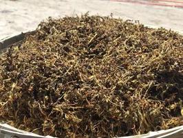 班玛藏雪茶是什么茶