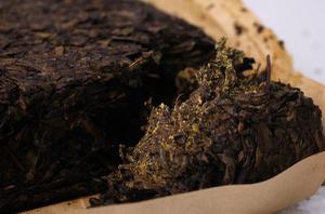 安化黑茶中金花及其发酵工艺