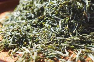 婺源绿茶归属于什么茶？