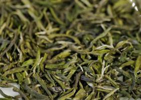 紫阳毛尖茶的制茶工艺