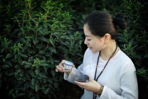 英德青茶（乌龙茶）加工技术及品质特点