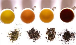 银杏茶的功效和副作用