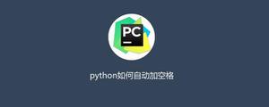 python如何自动加空格