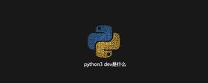 python3dev是什么