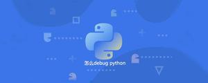 怎么debugpython