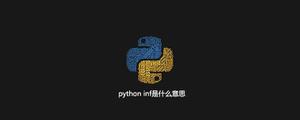 pythoninf是什么意思