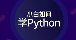 怎样在python中写汉字