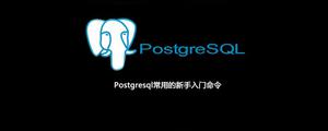 Postgresql常用的新手入门命令