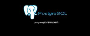 <span style='color:red;'>postgresql</span>用户权限有哪些