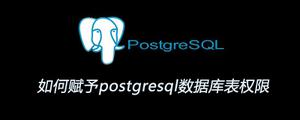 如何赋予<span style='color:red;'>postgresql数据库</span>表权限