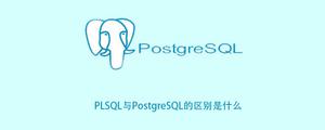 PLSQL与PostgreSQL的区别是什么