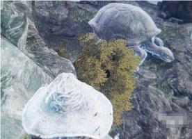 艾尔登法环菈妮的暗月在哪 菈妮的暗月位置详解