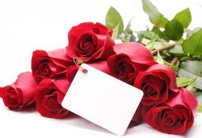 红色玫瑰的花语是什么？