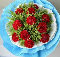 11朵康乃馨花语含义，11朵红色康乃馨的花语(热烈的爱)是什么？
