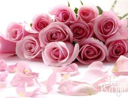 16朵粉玫瑰花语，永不分离是什么？