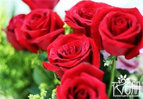 9朵玫瑰花语，9朵玫瑰花语代表长久的爱是什么？