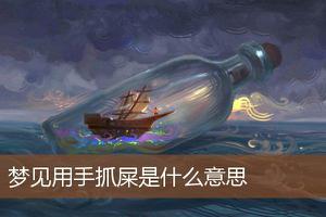 做梦梦到用手抓屎预示着什么？-周公解梦