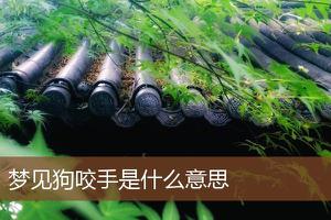 做梦梦到狗咬手预示着什么？-周公解梦