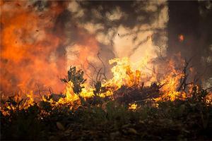 做梦梦到山上着火了预示着什么?-周公解梦