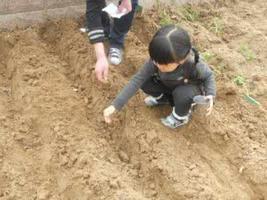 做梦梦到种地撒种子,这有什么寓意?-周公解梦