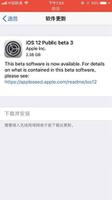 iOS 12 公测版 beta 3 更新提示需要接入无线网络才能下载怎么办？