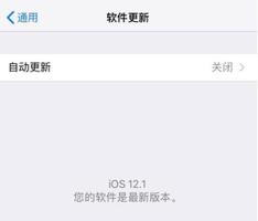 iOS 12.1.1 正式版什么时候出，iPhone 不提示升级怎么办？