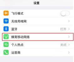 iPhone XS 如何禁止应用联网，无法找到设置选项是什么原因？