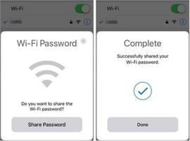如何查看 iPhone 已连接 WiFi 的密码？