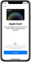 Apple Cash 是什么？Apple Cash 如何在国内开通使用？
