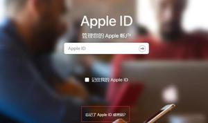 无法在 iPhone 上登陆 Apple ID 怎么办？
