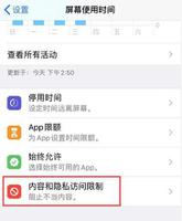 iOS 13 如何有效避免误操作付款？