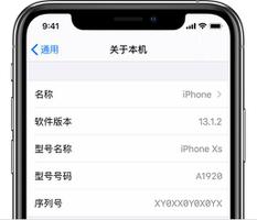 关于 iPhone 的 10 条小知识
