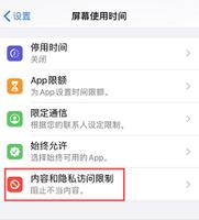 iOS 13 如何禁止下载应用和购买项目？