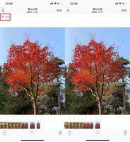 iPhone 拍照后相册出现两张相同照片是怎么回事？